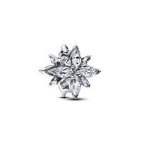 Charm Pandora in Argento Zirconia 793591C01 - 793591C01